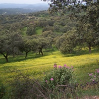 Photo de Espagne - Séville